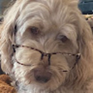 Meet your Posher, Ivy